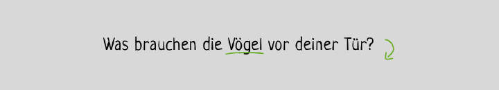 tierliebe wildvogel filtertext tierliebe wildvogel filtertext
